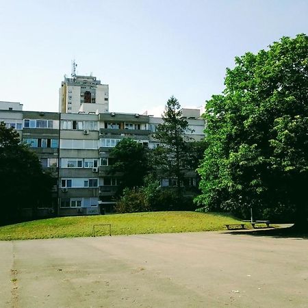 Men Who Knit Apartment Belgrade Luaran gambar