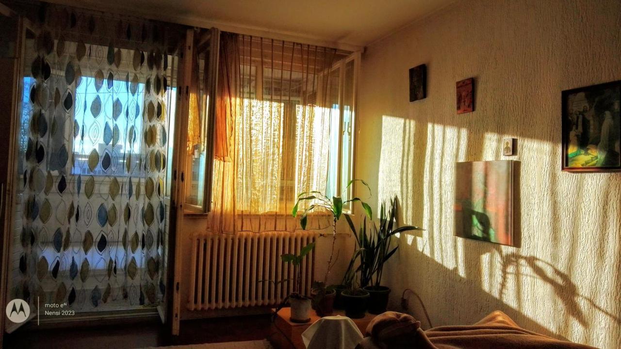 Men Who Knit Apartment Belgrade Luaran gambar